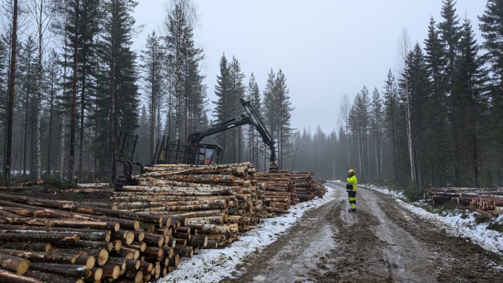 Riveria Valtimon kampus puupinot metsäkone työmaa